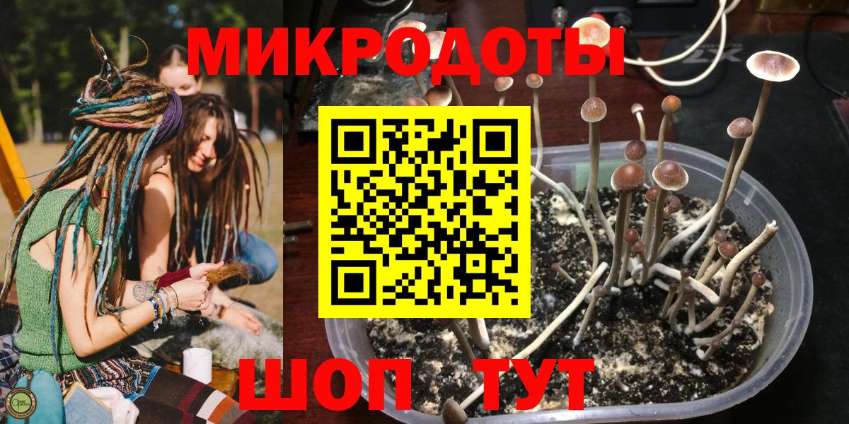 Галлюциногенные грибы MAGIC MUSHROOMS Фурманов