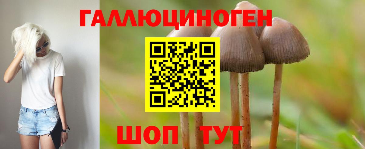 Галлюциногенные грибы мухоморы  Псилоцибиновые грибы Psilocybine cubensis  Вход с VPN  Фурманов 